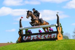 stragona ranking1 2026